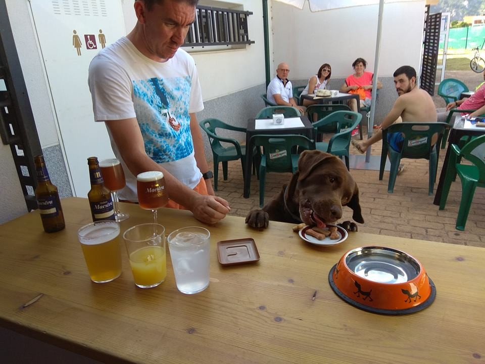 1121-especial-vacaciones-con-perro-los-destinos-y-alojamientos-mas-guau-para-viajar-con-tu-mascota-este-verano