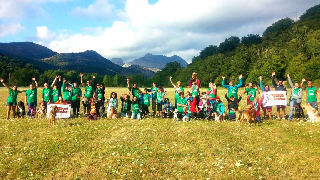 1208-viaje-organizado-con-perros-puente-del-pilar-todo-incluido