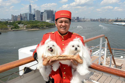 1215-queen-mary-2-el-unico-crucero-pet-friendly-del-mundo