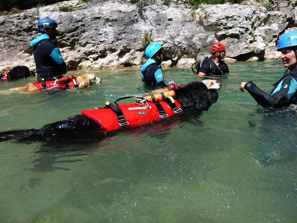 1244-alquezar-con-perro-alojamientos-admite-mascota-sierra-guara
