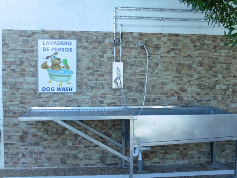 1404-alojamientos-admiten-mascota-cerca-de-playa-para-perros