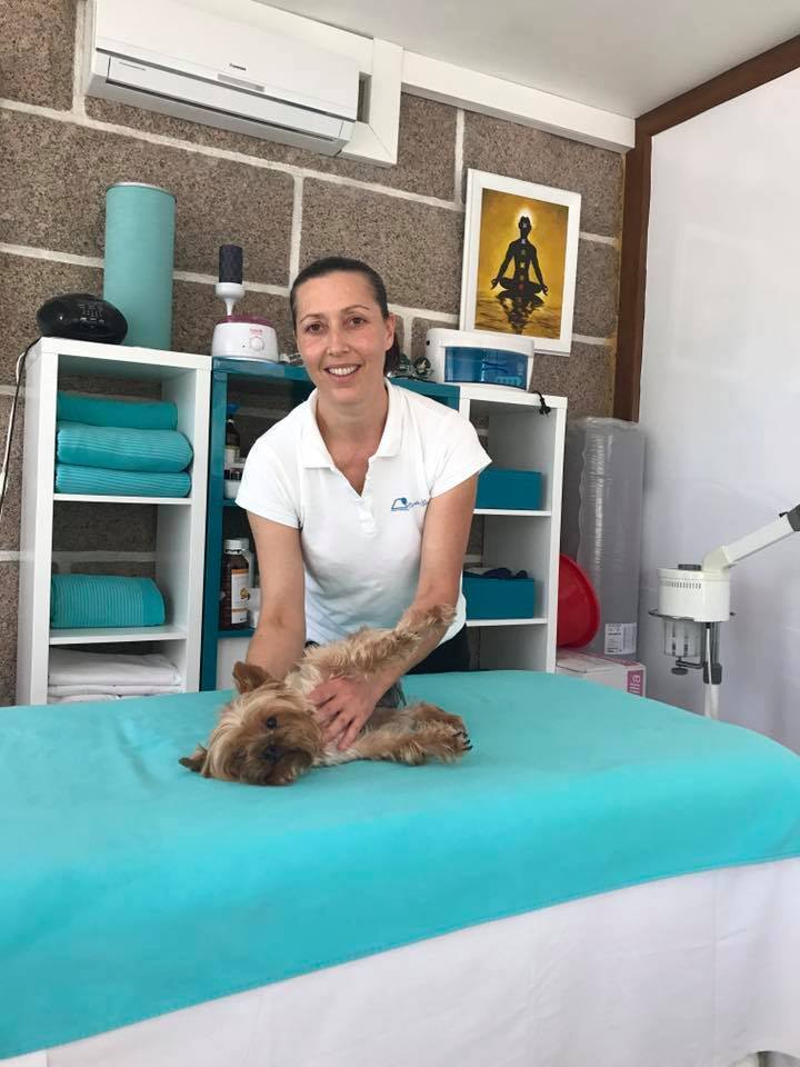 1414-alojamientos-admiten-mascota-cerca-de-playa-para-perros