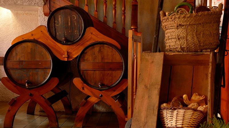 1567-planes-alojamientos-invierno-esqui-con-perro-nieve-con-perro-2