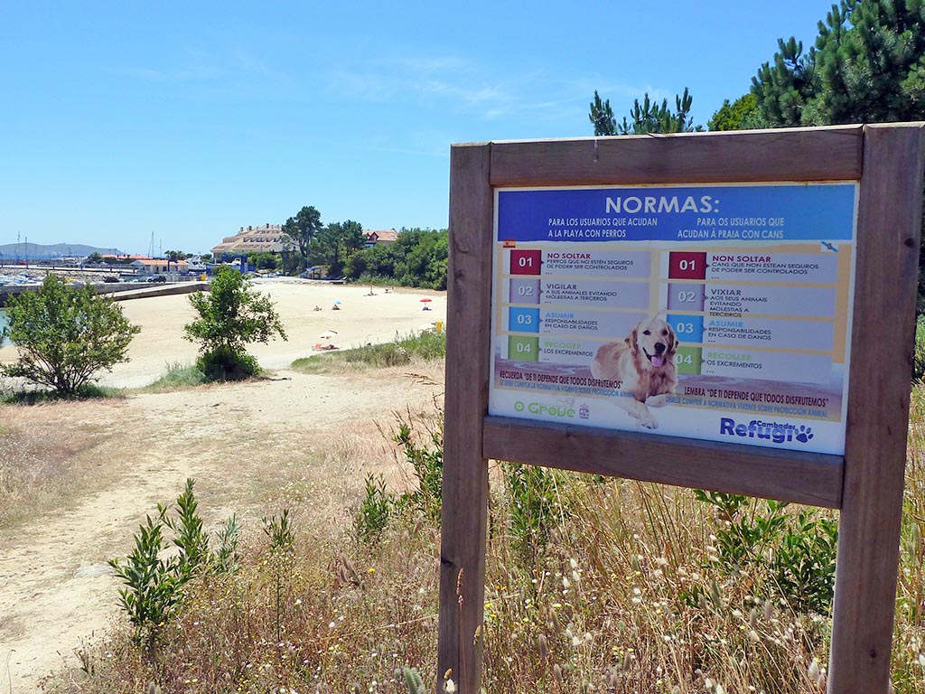 1733-planes-con-perro-en-o-grove-playas-caninas-y-alojamientos-dog-friendly