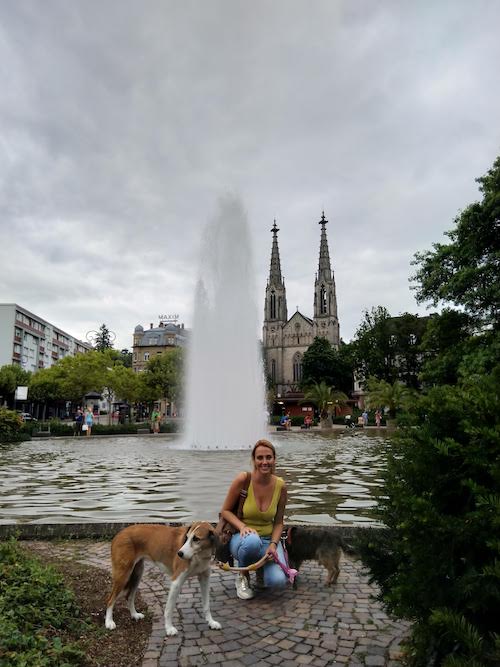 1801-ruta-coche-por-la-selva-negra-de-alemania-con-perro