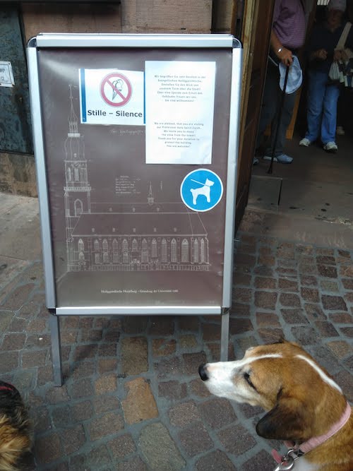 1815-ruta-coche-por-la-selva-negra-de-alemania-con-perro