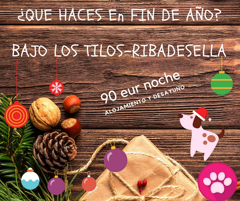 1854-las-mejores-propuestas-para-celebrar-navidad-y-fin-de-ano-con-tu-perro-2019