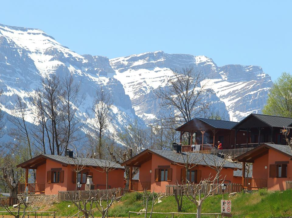 1874-las-mejores-propuestas-para-celebrar-navidad-y-fin-de-ano-con-tu-perro-2019