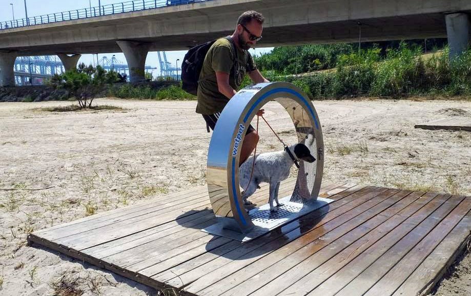 1902-playa-canina-concha-algeciras-cadiz
