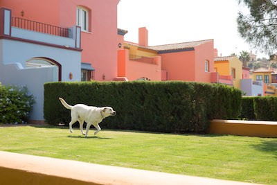 1905-barcelo-montecastillo-admite-perros-cadiz