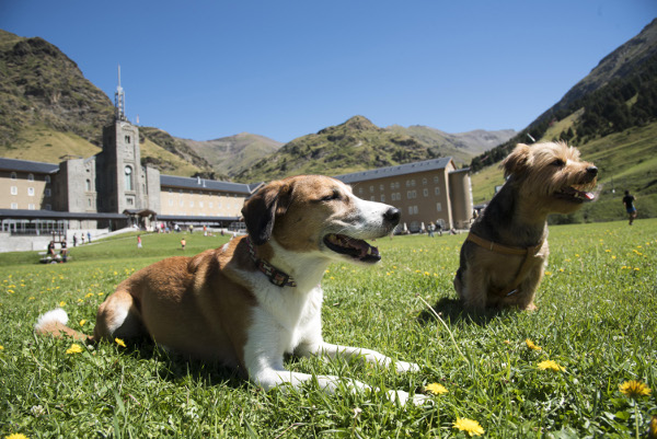 191-vacaciones-con-tu-mascota-en-la-vall-de-nuria