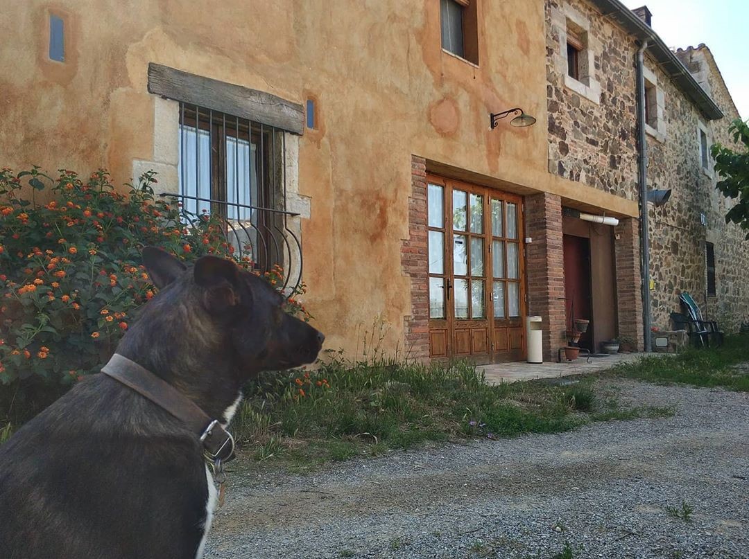 1934-agroturisme-sant-dionis-admite-perros-en-campllong-Girona