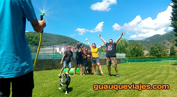 1938-campus-dog-campamento-perros-verano2020