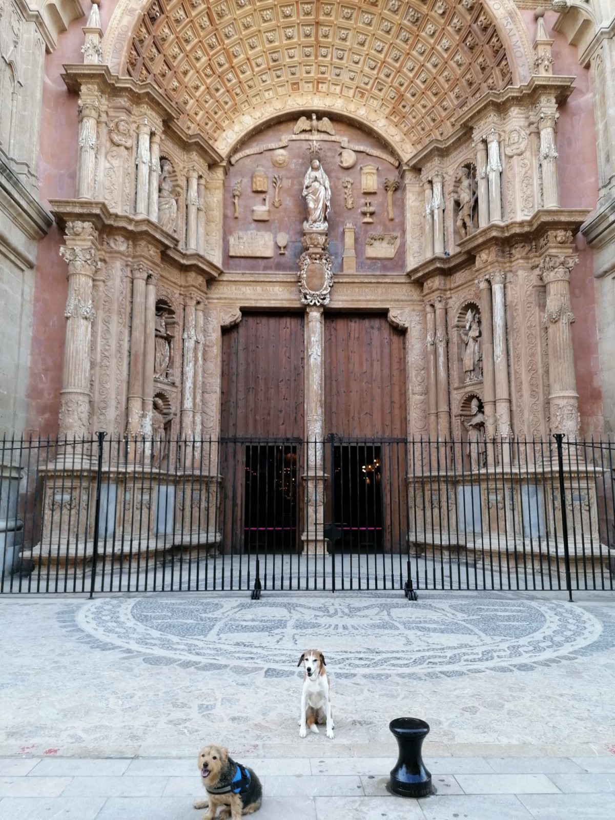 1956-catedral-palma-mallorca-perro