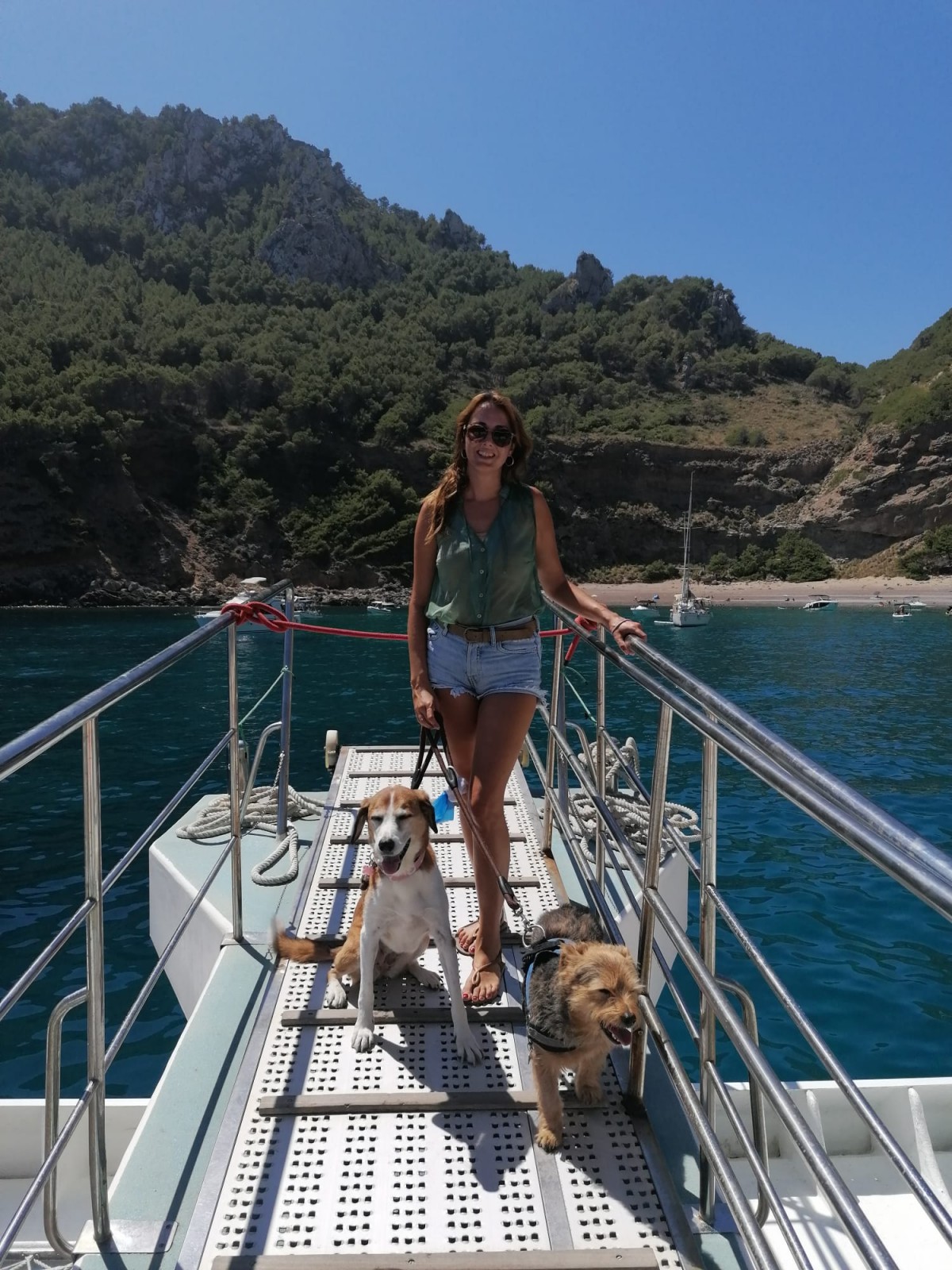 1961-crucero-barco-bahia-alcudia-perros