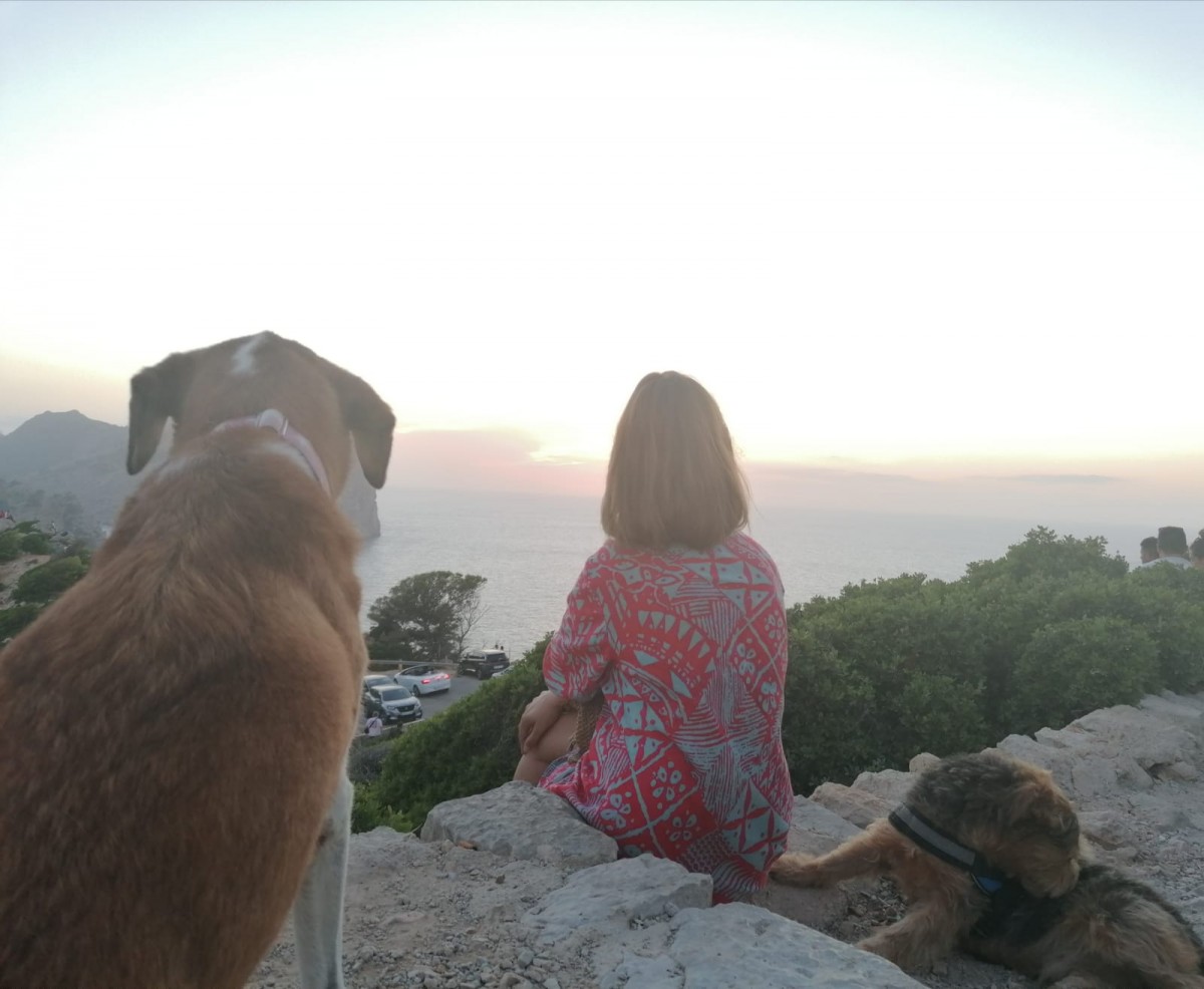 1978-cap-formentor-atardecer-mallorca-perros