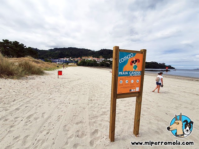 2018-playa-canina-galicia