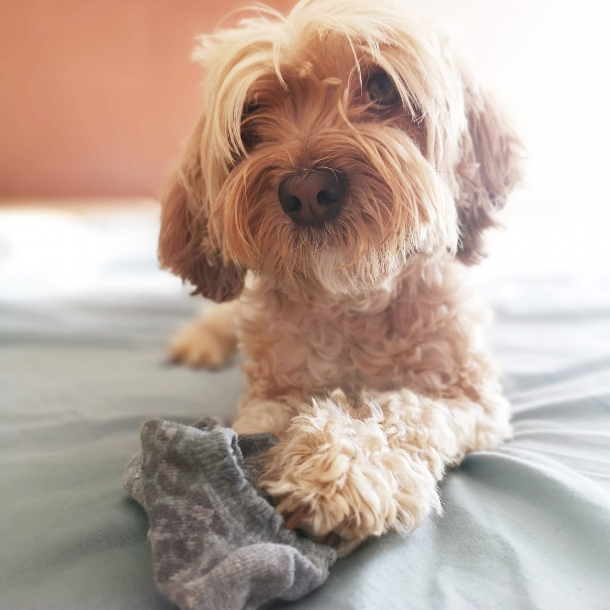 2035-blog-uma-viajes