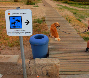 204-port-ginesta-nueva-playa-para-perros-en-sitges-barcelona