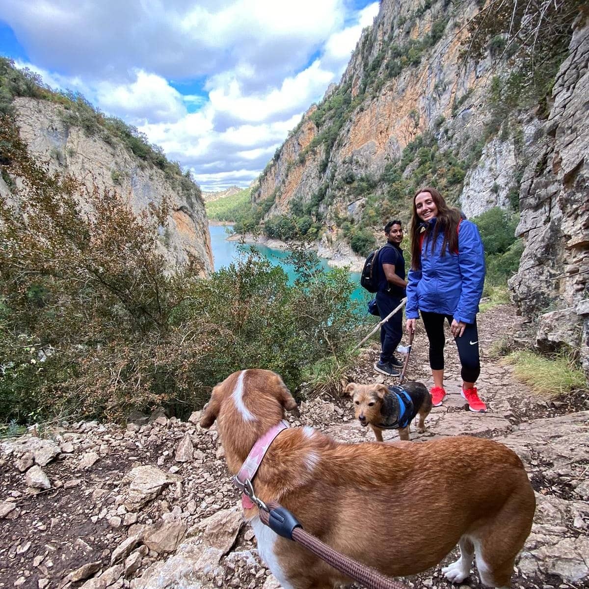 2052-pasarelas-congost-montrebei-perros