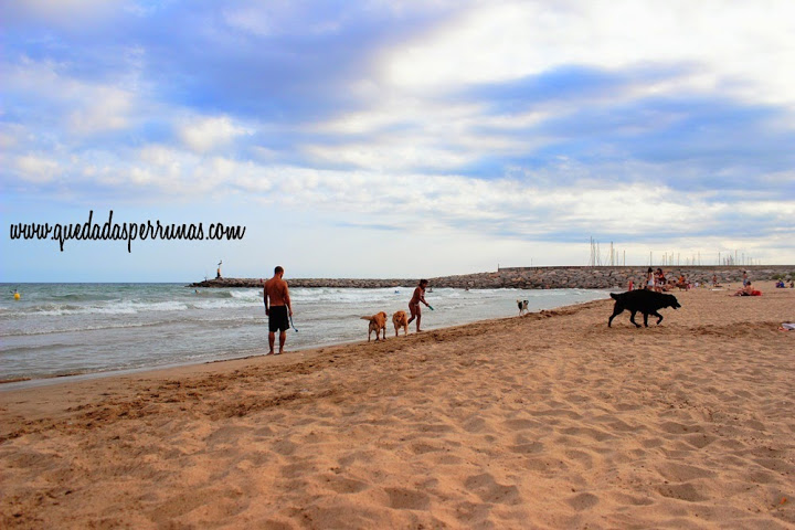 206-port-ginesta-nueva-playa-para-perros-en-sitges-barcelona