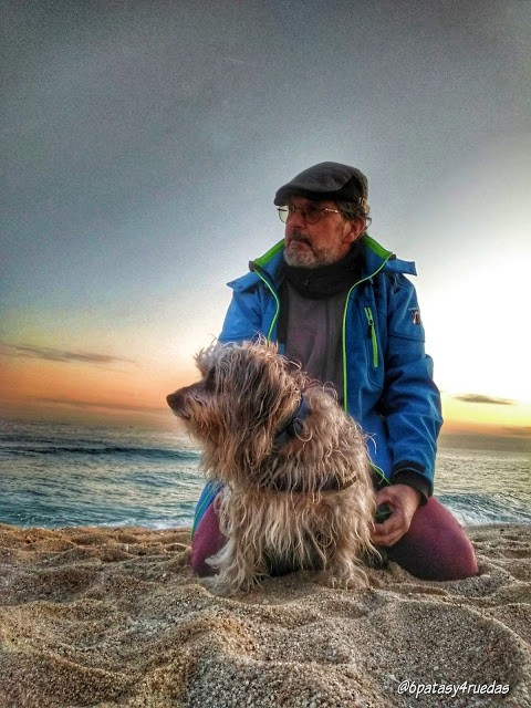 2063-blog-6patas-4ruedas-viajes-perro