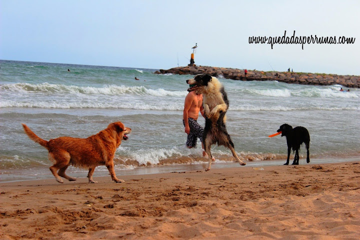 208-port-ginesta-nueva-playa-para-perros-en-sitges-barcelona