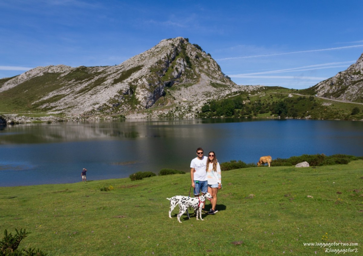 2082-LUGGAGE-FOR-TWO-BLOG-VIAJES-PERRO