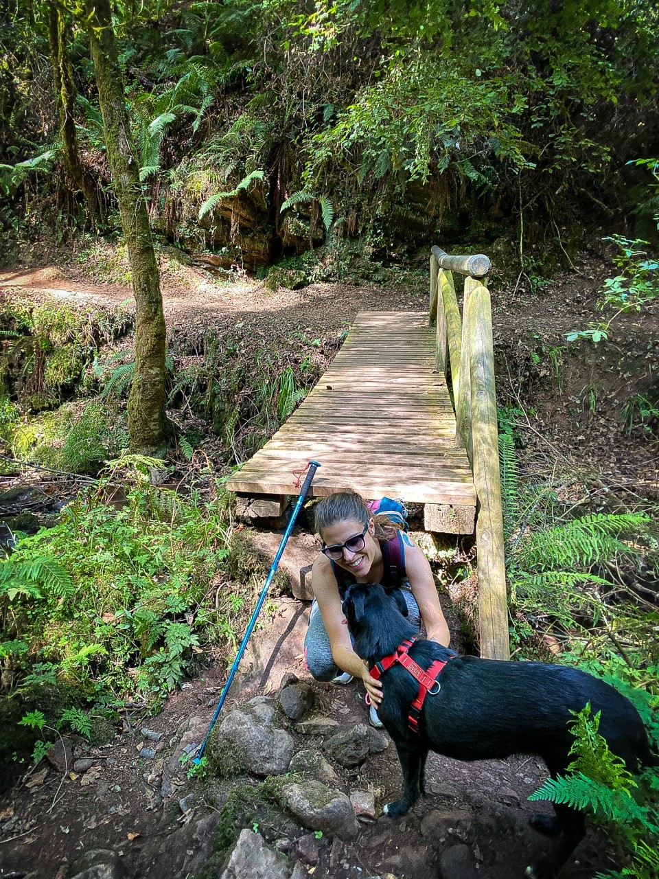 2084-todo-con-encanto-rutas-con-perro-por-asturias