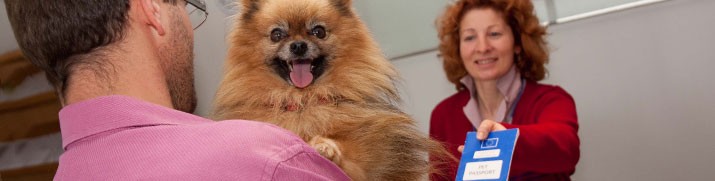 2109-perro-pasaporte-viajar-ue
