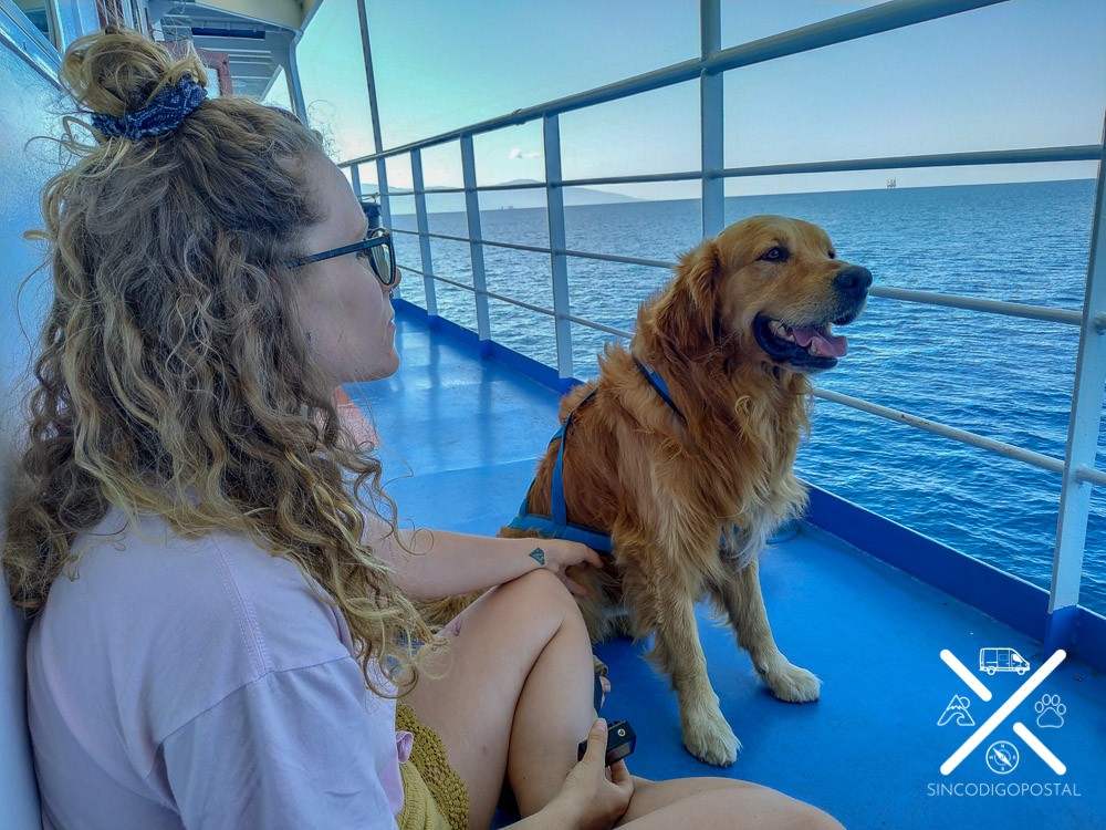 2124-ferry-perro-vacaciones-viajes4patas