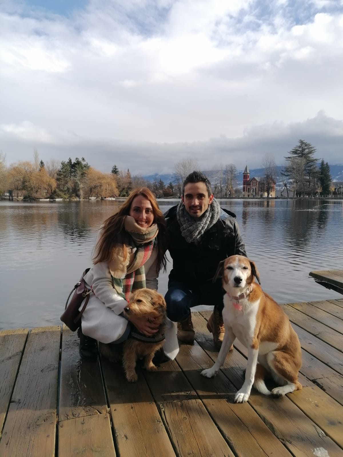 2146-llac-puigcerda-viajar-perro