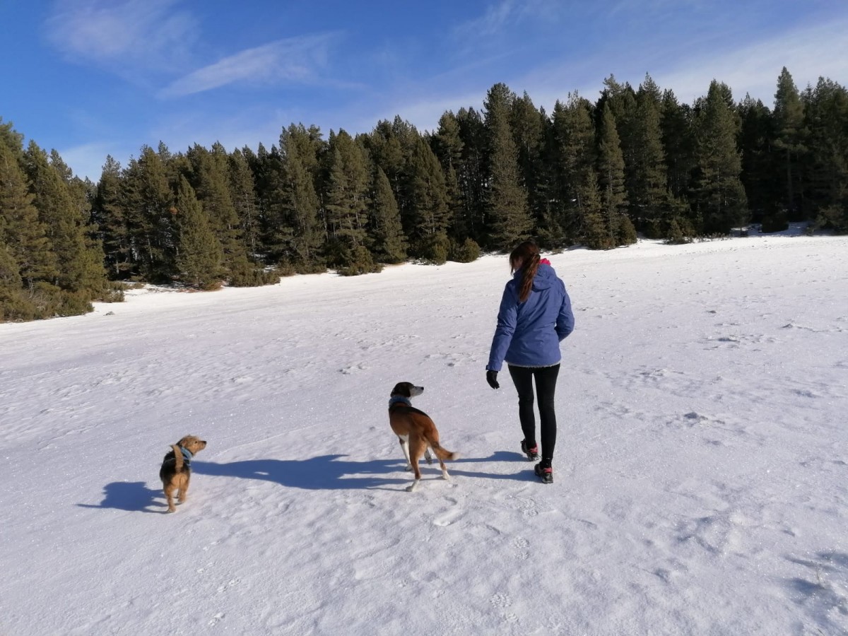 2148-el-prat-ruta-cerdanya-cadi-moixero-gos