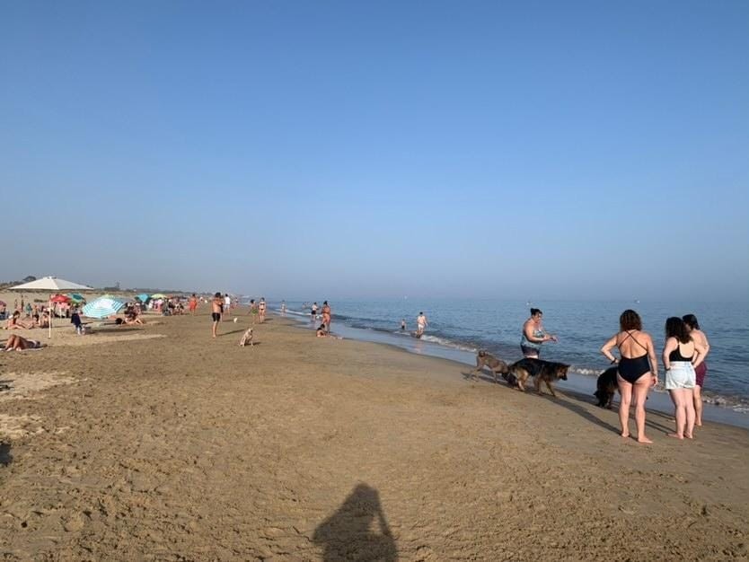 2179-playa-perros-isla-cristina