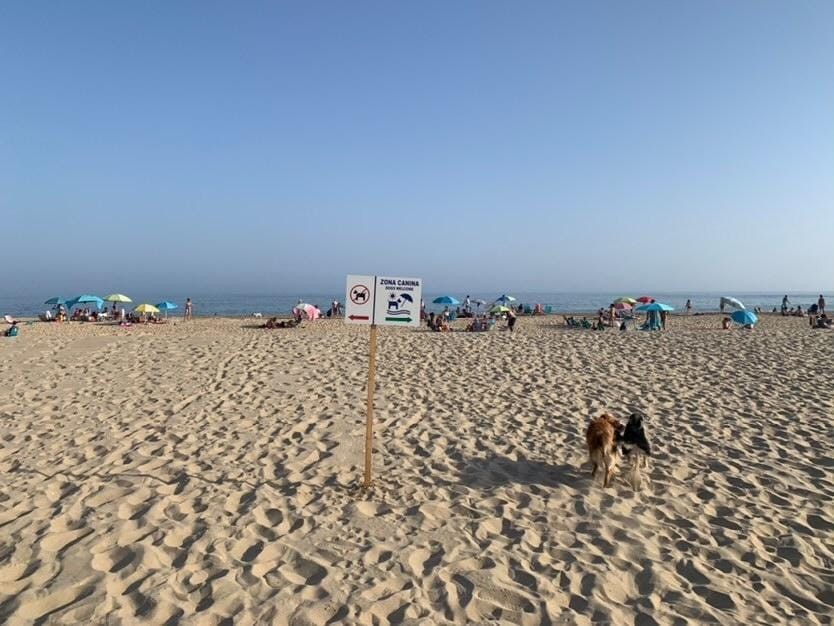 2180-playa-perros-isla-cristina