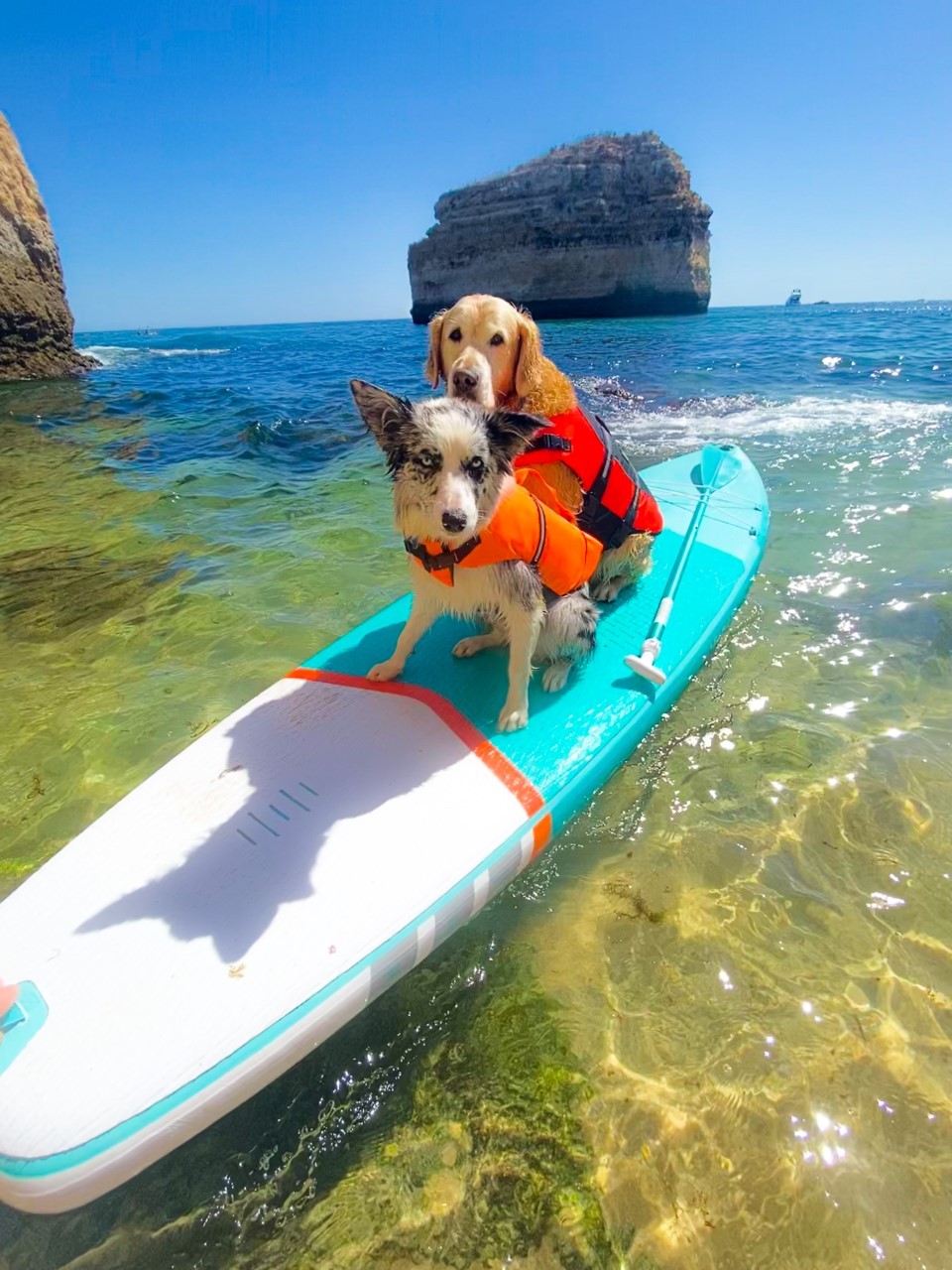2190-paddle-surf-playa-portugal