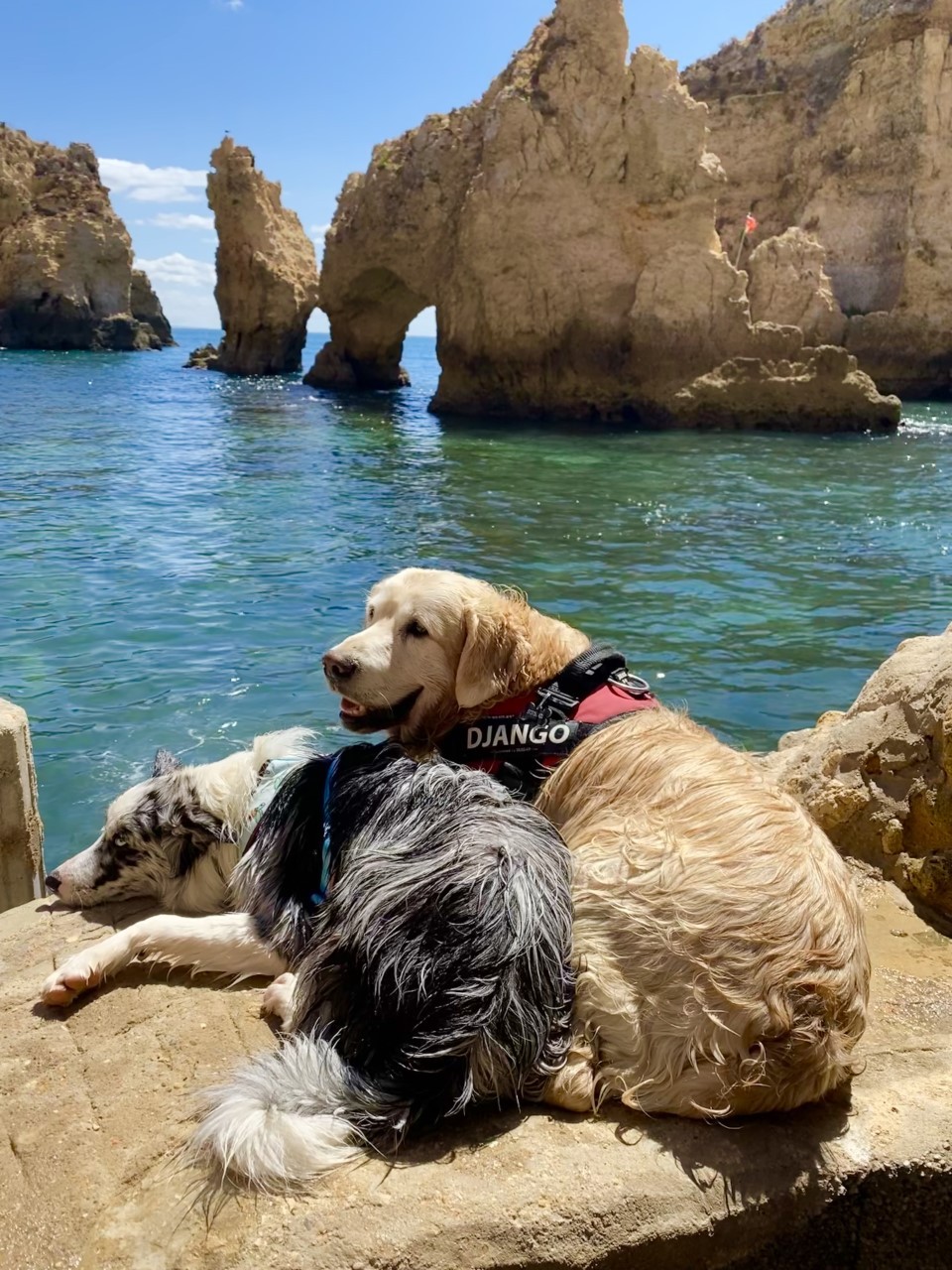 2192-PLAYA-PERROS-PORTUGAL