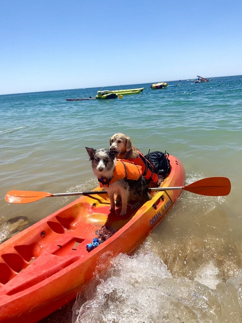 2194-kayak-perro-portugal