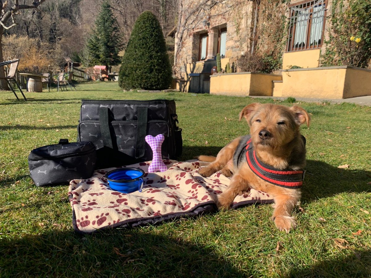 2354-bolsa-viaje-perros-tienda-4patas