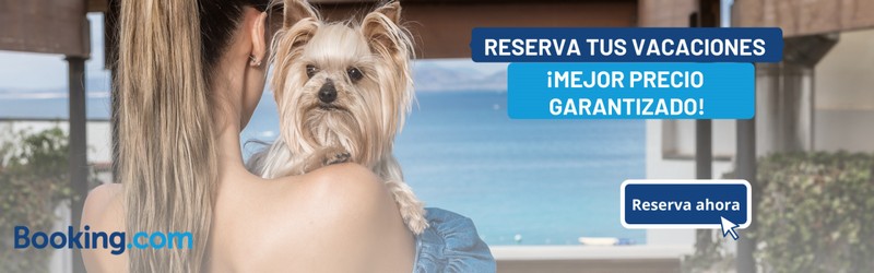 2356-booking-hoteles-admite-perros-viajes4patas