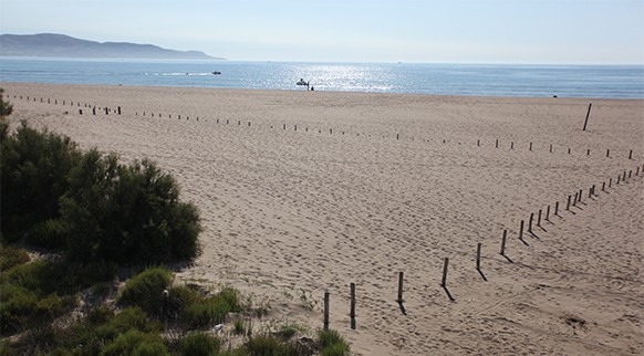 2394-playa-de-la-rbuna