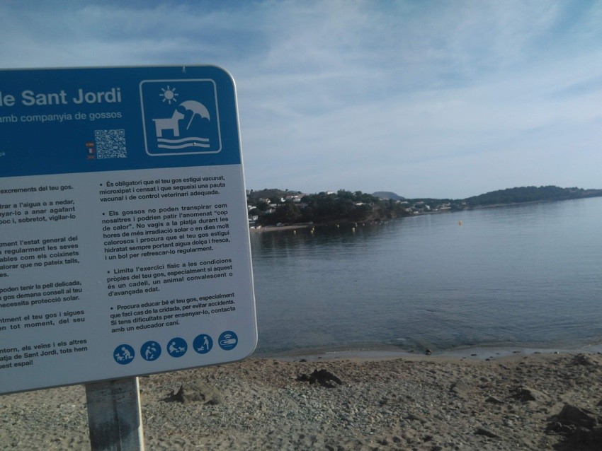 2408-playa-sant-jordi-llanca-costa-brava-perros