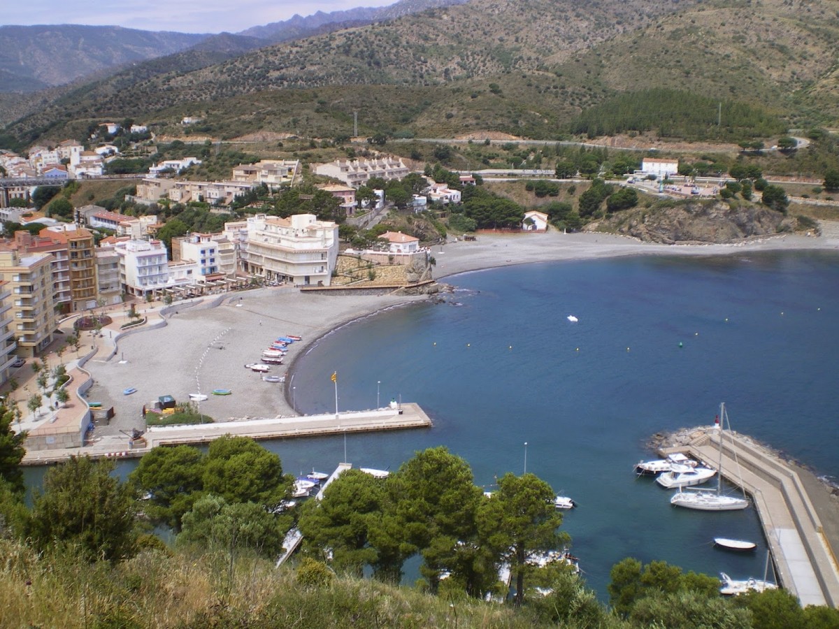 2411-playa-perros-las-barcas-en-colera-costa-brava