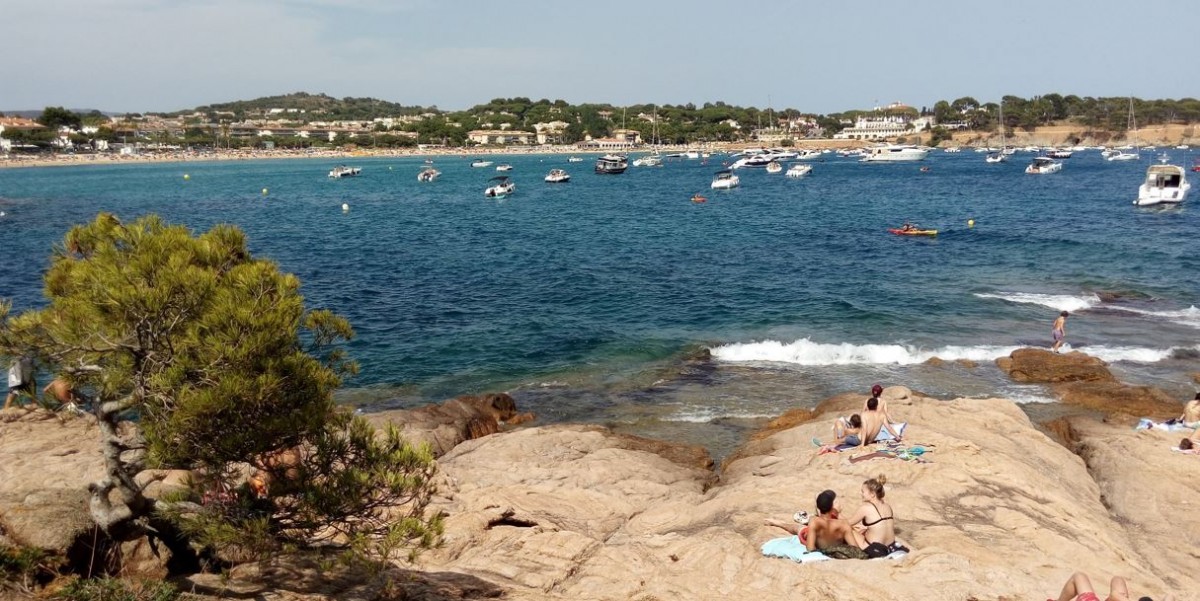 2422-cala-del-niu-sant-feliu-guixols-perros