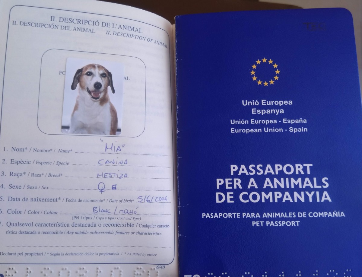 2465-pasaporte-animal-compania-mascota-viajar