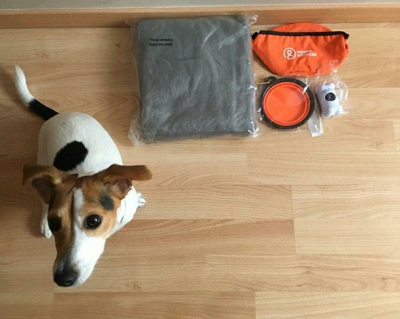 2481-kit-bienvenida-perros-pierre-et-vacances