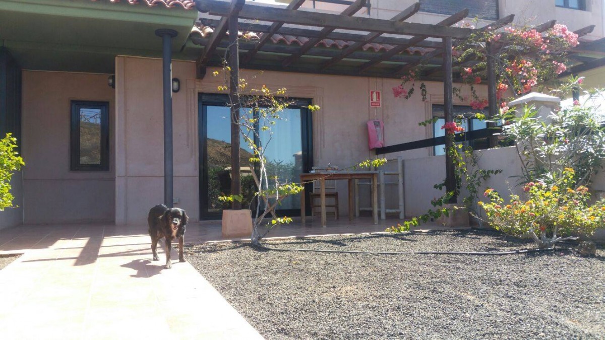 2485-origo-mare-resort-admite-perros