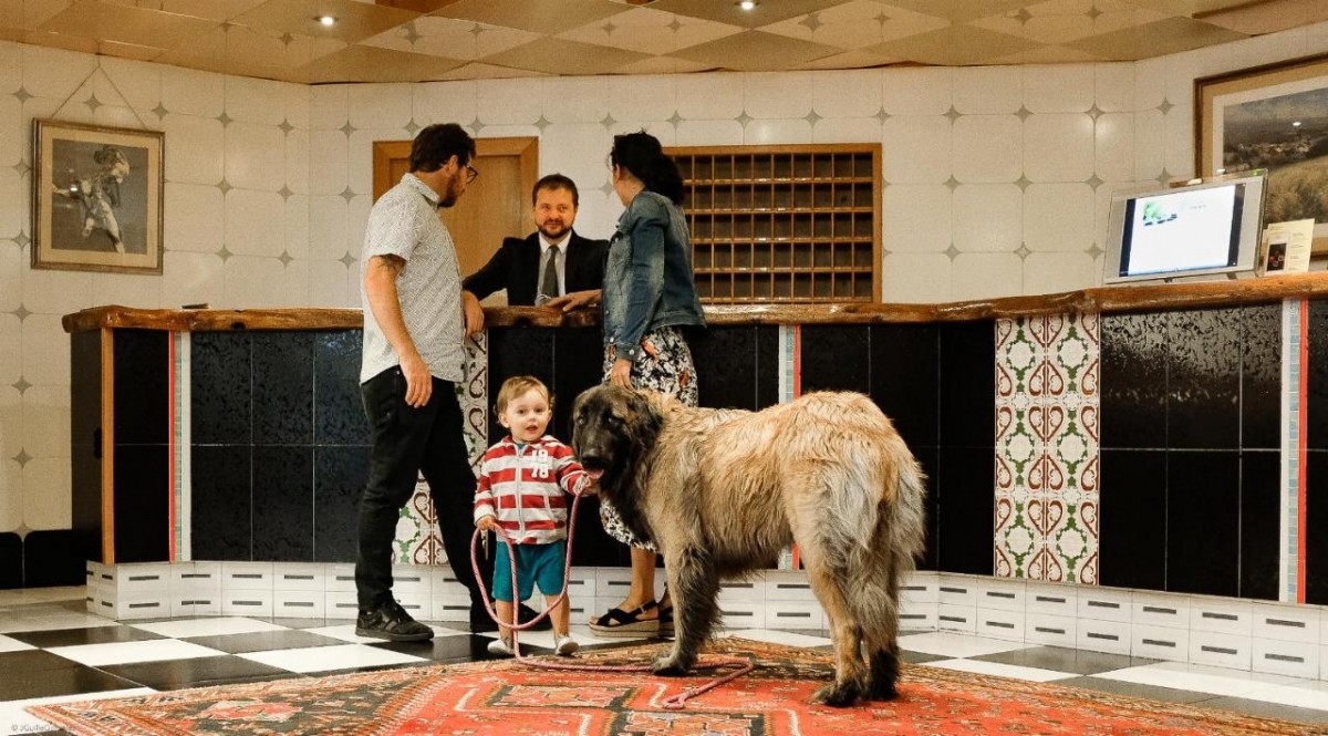 2547-Hotel-llop-gris-andorra-mascota