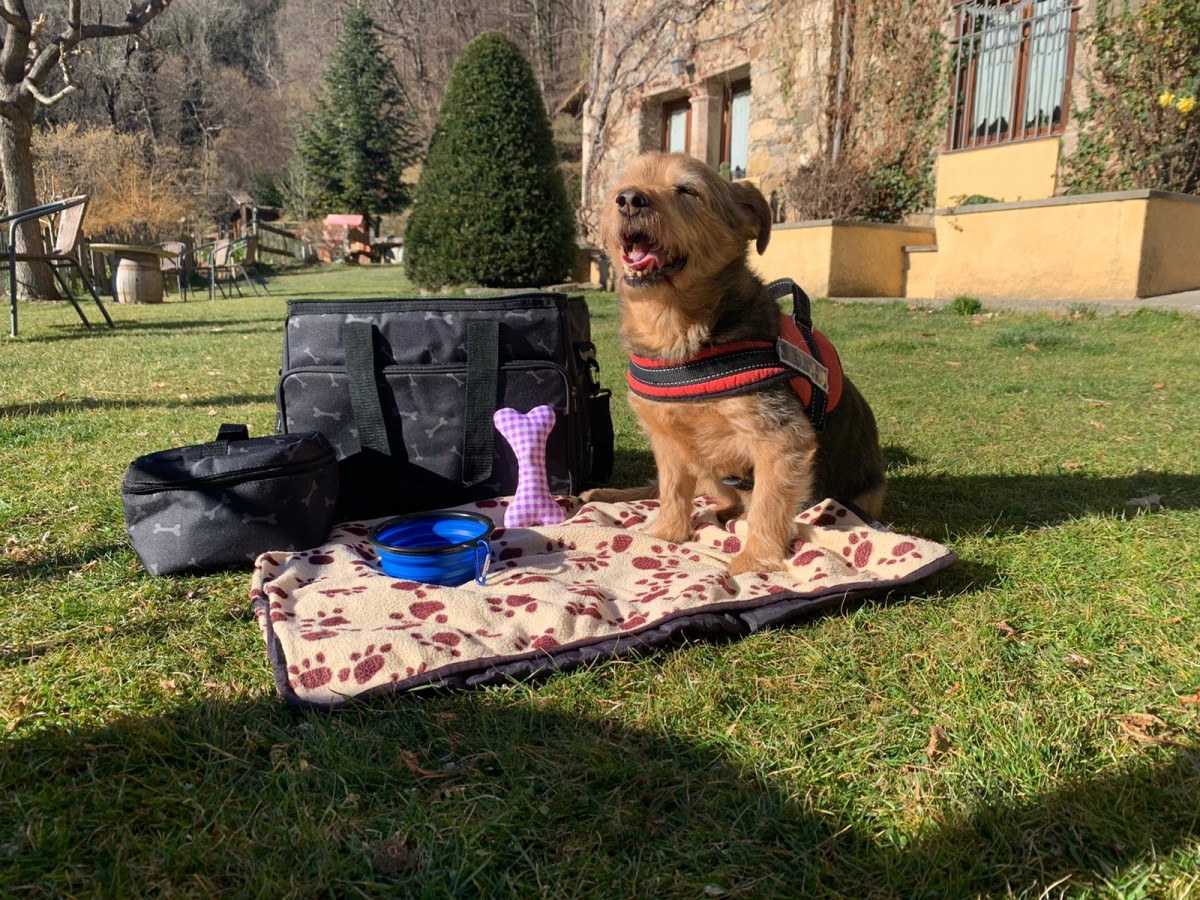 2553-maleta-viajes-perro-viajes4patas