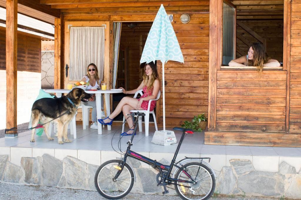2654-camping-roda-bara-admite-perros